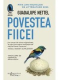 Cumpara ieftin Povestea fiicei/Guadalupe Nettel
