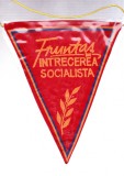 AMS# - FANION IN INTRECEREA SOCIALISTA