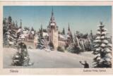 Sinaia. Castelul Peles (iarna) (necirculata)