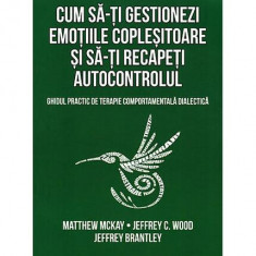 Cum să-ți gestionezi emoțiile copleșitoare și să-ți recapeți autocontrolul - Paperback brosat - Matthew McKay, Jeffrey Brantley, Jeffrey C. Wood - Her