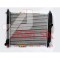 Radiator Motor 152107 con32428