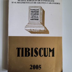 Banat, Caras- Tibiscum XII, etnografie-istorie, Muzeul Judetean Caransebes, 2005