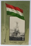SALUTARI DIN ARAD , STATUIA LIBERTATII IN MEDALION SI STEAGUL UNGARIEI , ALEGORIE , CROMOLITOGRAFIE , CARTE POSTALA , CLASICA , DATATA , 1902
