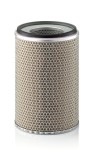 MANN-FILTER C 24 719 Filtru aer
