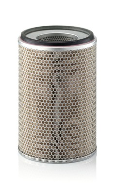 MANN-FILTER C 24 719 Filtru aer foto
