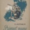 Primul nume - I. Likstanov