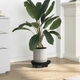 Cărucioare de plante cu roți 3 buc. negru diametru 30 cm 170 kg