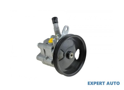 Pompa servo Nissan ALMERA TINO (V10) 2000-2016 #1 foto