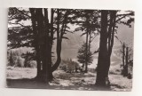 RF179 - Carte Postala - Tusnad. Lacul Sf. Ana. circulata 1966