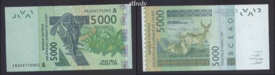 Statele Africii de Vest - Coasta de Fildes, 2003, 5000 Franci foto