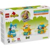 Animale pe ro&Aring;&pound;i 3 &Atilde;&reg;n 1, LEGO&reg;