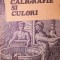 CALIGRAFIE SI CULORI