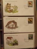 FAUNA WWF - 3 PLICURI PRIMA ZI
