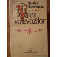 Valea Voievozilor - Nicolae Docsanescu ,304923