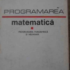 PROGRAMAREA MATEMATICA. PROGRAMAREA PARAMETRICA SI NELINIARA-GHEORGHE MIHOC, ILEANA NADEJDE