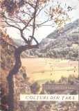 COLTURI DIN TARA-I. SIMIONESCU-261512