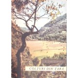 COLTURI DIN TARA-I. SIMIONESCU-261512