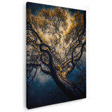 Tablou canvas copac frunze galbene, galben, maro, albastru 1090 Tablou canvas pe panza CU RAMA 80x120 cm