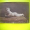 HOPCT RO 397 C COPIL /BEBELUS -FOTOGRAFIE VECHE-TIP CP