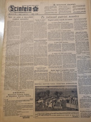 scanteia 5 septembrie 1954-art. ziua aviatiei RPR,art,cluj,arad,targu mures foto