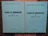 STUDII SI COMUNICARI -GALERIA DE ARTA -MUZEUL BRUKENTHAL SIBIU
