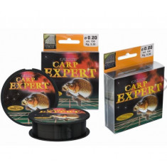 Fir pescuit Carp Expert carbon 0.32mm ,13.5kg -rola de 300m