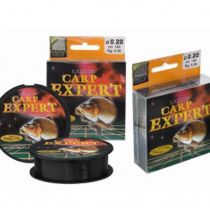 Fir pescuit Carp Expert carbon 0.30mm ,12.10 kg -rola de 300m