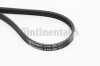 CONTINENTAL CTAM 4PK905 Curea transmisie cu caneluri