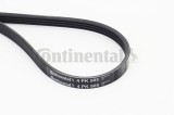 CONTINENTAL CTAM 4PK905 Curea transmisie cu caneluri