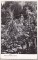 Foto  - 1