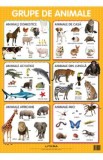 Animale. Plansa educationala, Autor Anonim
