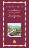 Klein si Wagner. La tratament | Hermann Hesse, 2019, Rao