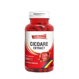 Cicoare Extract 30 capsule Adnatura