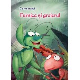 Furnica si greierul. Seria Ce ne invata/***