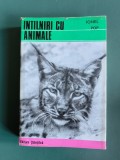 Intalniri cu animale - Ionel Pop, 1972, vanatoare / R4P2S