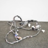 Cablaj ușă st&acirc;nga spate TESLA MODEL X 2018 OEM: 1032881-70-F 10038672