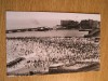 QW24 C - Carte postala - tematica turism - vedere - Constanta 24, Circulata, Fotografie