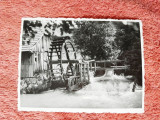 Fotografie, Moara de Apa pe raul Bratca, Valea Crisului