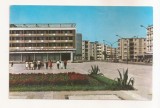 RF140 - Carte Postala - Baia Mare. Piata Victoriei, necirculata