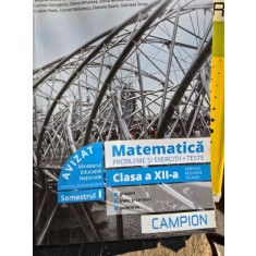 Matematica. Probleme si exercitii. Teste. Clasa a XII-a - Marius Burtea, Georgeta Burtea
