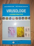 Virusologie. Lucrari practice- Anita Adriana Elena, Anita Dragos Constantin