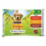 Cumpara ieftin Friskies Adult Dog, Multipack, 4 x 100 g