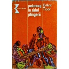Balint Tibor - Pelerinaj la Zidul plangerii