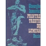 Printre trestii de lumina