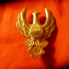 Insigna de Aviatie Romania - Tehnician de Bord RSR