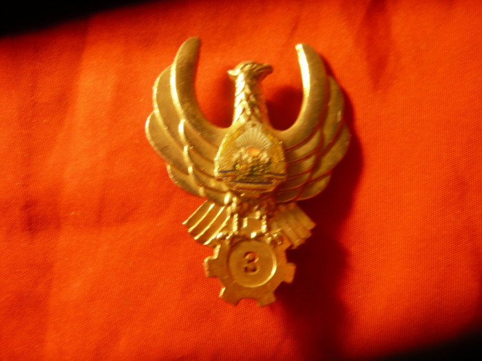 Insigna de Aviatie Romania - Tehnician de Bord RSR