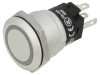 Comutator Anti-Vandalism SPDT 3A 240V 24V