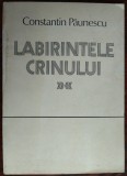 CONSTANTIN PAUNESCU: LABIRINTELE CRINULUI (VERSURI, 1987-88/coperta PETRE HAGIU)