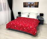 Pilota matlasata &quot;Luna si Stele&quot; Coneltex, dimensiuni 140x210 cm, culoare rosie, umplutura fibra siliconizata antialergica, densitate 350 g/mp
