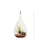 Glob Sticlă Terariu Pară, 12x8cm, Oem